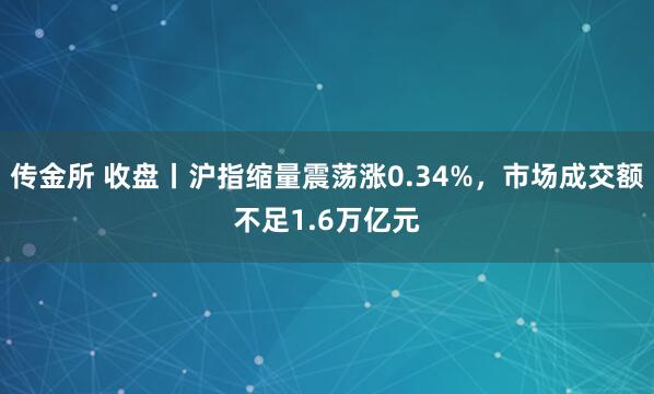 传金所 收盘丨沪指缩量震荡涨0.34%，市场成交额不足1.6万亿元