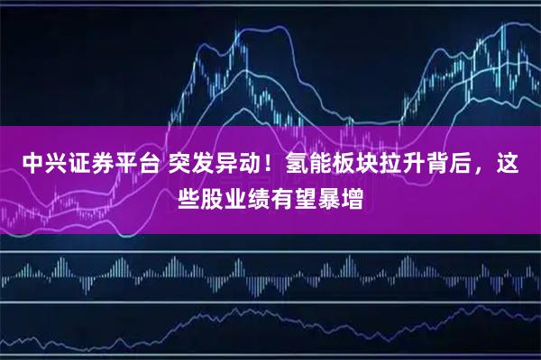 中兴证券平台 突发异动！氢能板块拉升背后，这些股业绩有望暴增