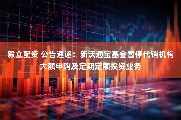 毅立配资 公告速递：新沃通宝基金暂停代销机构大额申购及定期定额投资业务