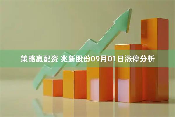 策略赢配资 兆新股份09月01日涨停分析